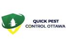 Pest Control Company In Ottawa
