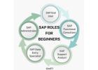 SAP Roles for Beginners - Ed11