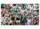Exciting Hub for NY Jets Fans!