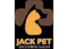 Professional Pet Grooming in Abu Dhabi