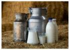 Looking for a Milk Distributor for Modern Trade in the UAE?