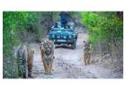 Corbett Tour Packages