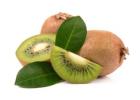 Premium Kiwifruit Orchard Services in Bay of Plenty – Top OGR