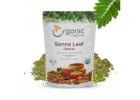 Ayurvedic Cleanse Hero: Senna Leaf for Smooth Relief