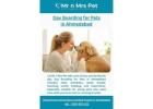 Day Boarding for Pets in Ahmedabad