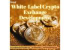 Skip the Struggles, Go Live Faster with White Label Crypto Exchange Development - Beleaf Technologie