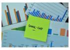 How to Align Small Cap Investments with Your Financial Goals
