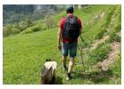 Best Long Weekend Getaways Near Ranikhet