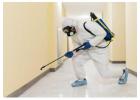 Say Goodbye to Mosquitoes with Expert Treatment on the Gold Coast