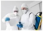 Professional Rodent Control Services in Gold Coast
