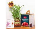 Affordable Online Gift Delivery Under ₹1000 – Celebrate Every Moment