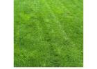 DreamLawn Offering the Best Lawn Care in Overland Park, Kansas