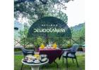 Experience Resorts By The Baagh