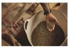 High-Quality Wholesale Coffee Roasters You Can Rely On