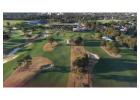 Lawn and Turf pigment