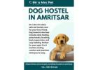 Dog Hostel in Amritsar