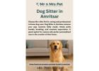Dog Sitter in Amritsar