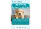 Dog Boarding Services in Amritsar