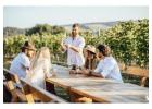 Group Bike Wine Tour in Napa Valley