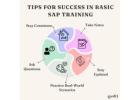 Tips for Success in Basic SAP Training - Ed11