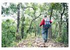 Discover the Wild with Our Jim Corbett Adventure Package