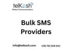 Bulk SMS Providers with Global Expertise