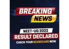 Reliable news at your fingertips tip