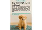 Dog Boarding Services in Bhopal