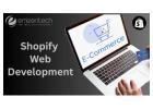 Shopify Web Development