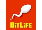 How to Experience an Interesting Store Management Game: A Guide to BitLife