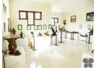 Discover Unique Museums in Kottayam – Bay Island Driftwood Museum