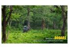 Dooars Tour Package Offering a Blend of Adventure and Tranquility