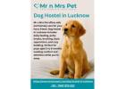 Dog Hostel in Lucknow