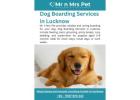 Dog Boarding Services in Lucknow