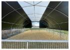 Sheep polytunnels for safer lambing seasons