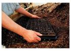 Soilless Potting Mix for Healthier Plants