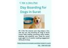 Day Boarding for Dogs in Surat