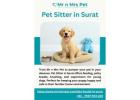 Pet Sitter in Surat