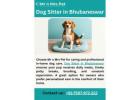 Dog Sitter in Bhubaneswar