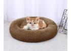 Top Luxury Dog Beds for Small Dogs – Comfort & Style