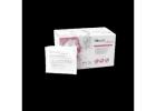 Sterile Examination Gloves – Powder Free, Safe & Comfortable Protection