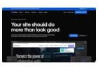 Best Webflow CMS Development in USA