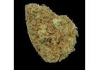 Buy Galactic Cookies Strain in Canada