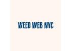 Weed Web NYC