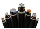 XLPE Insulated Cables – Best Choice for Power Distribution