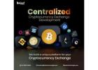 Next-Gen Centralized Crypto Exchange Development for Businesses