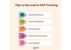 Tips to Succeed in SAP Training - Ed11