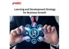 How to Build an Effective Learning and Development Strategy for Business Growth