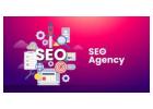 Grow Your Business Online with the Best SEO Company in Dubai
