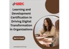 The Role of Learning and Development Certification in Driving Digital Transformation in Organization
